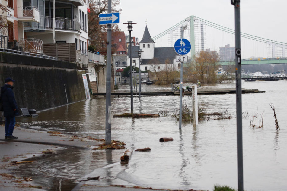 Der Rhein schwappte am Wochenende vielerorts über das Ufer. Rad- und Fußwege in Köln wurden überschwemmt.