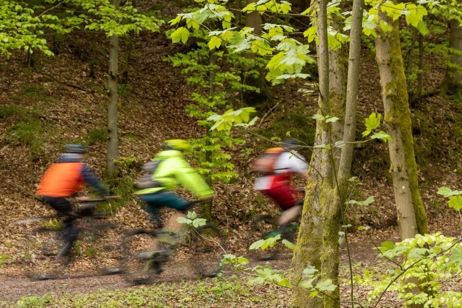 Das Radfahren im Wald soll in NRW stärker reglementiert werden. (Symbolbild)