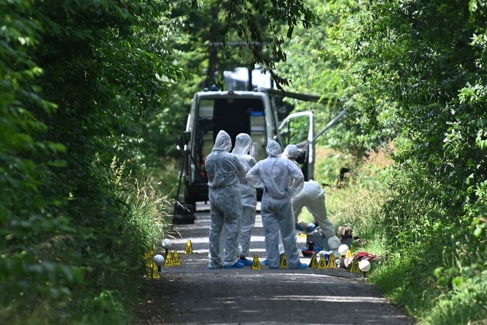Auf diesem Waldweg in Dorsten hatte eine Passantin am 29. Juni die Leiche der 32 Jahre alten Frau entdeckt.