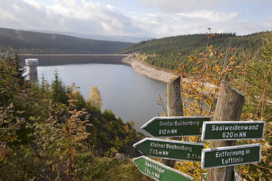 Von Heimat hält Hüller nicht viel. Ihr Anker bleibt dennoch Thüringen. Auf dem Foto: Die Schmalwassertalsperre in Tambach-DIetharz.