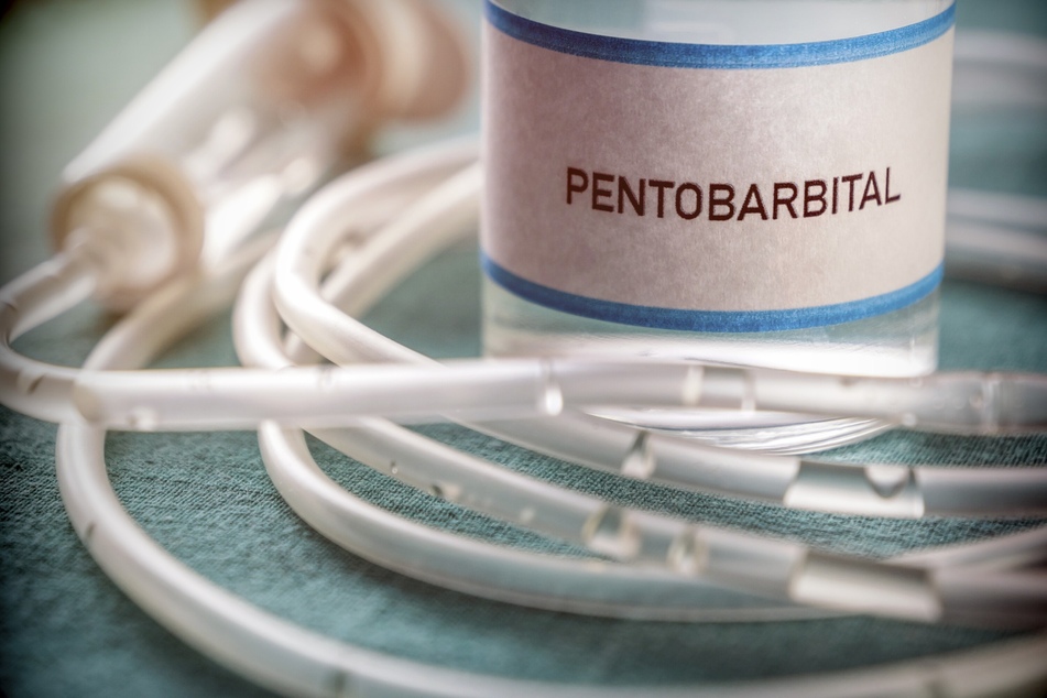 South Carolina has reportedly purchased a supply of pentobarbital four months after passing a shield law to protect drug companies.