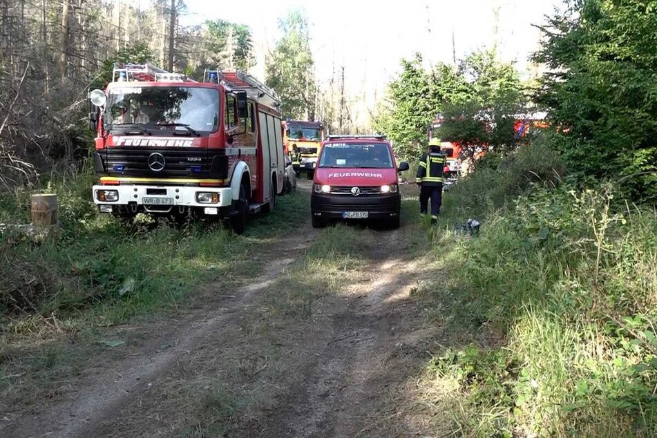 Elf Einsatzfahrzeuge der Feuerwehr waren laut einem Sprecher des Landkreises Harz vor Ort.