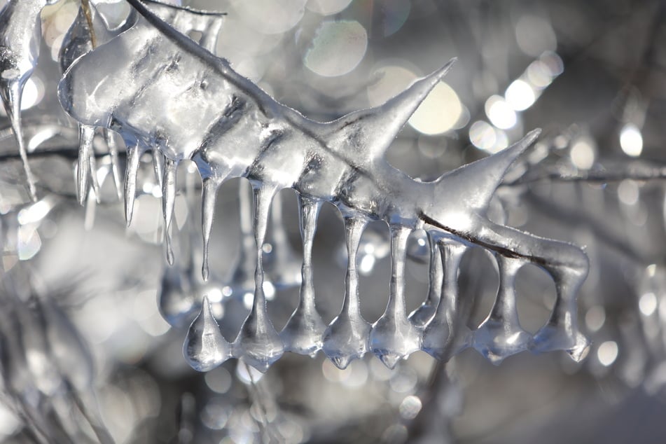 Der Winter rückt immer näher: In den nächsten Tagen ist sogar schon mit leichtem Frost zu rechnen. (Symbolbild)