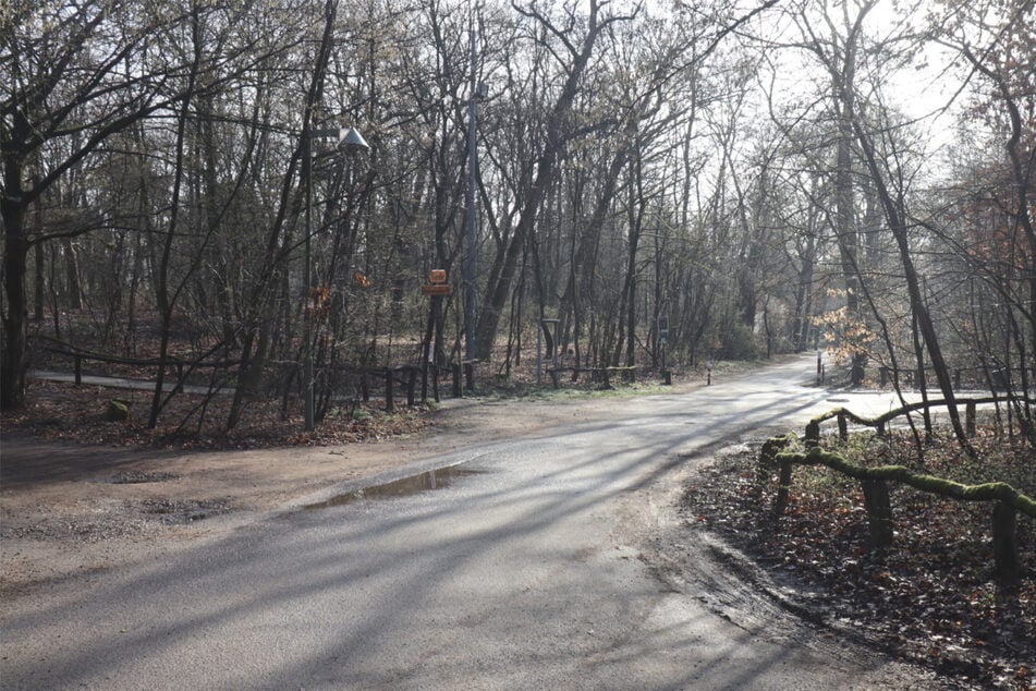 In einem Waldstück bei Mannheim wurde eine junge Frau (†19) tot aufgefunden.