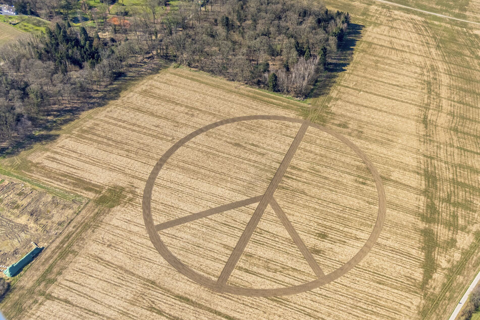 Ein Essener Landwirt hat mit seinem Traktor ein Peace-Zeichen mit einem Durchmesser von 300 Metern in ein Maisfeld gezeichnet.