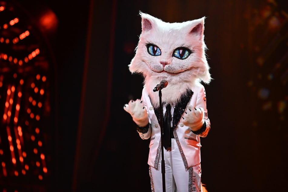Halbfinale bei "The Masked Singer": Diese Schlager-Legende war die Katze