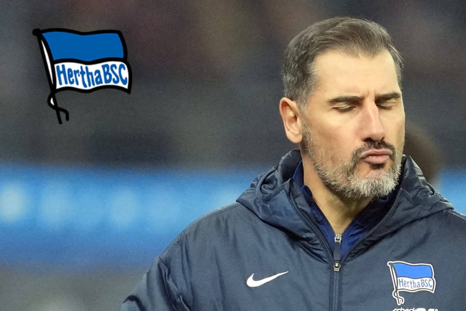 Hertha BSC muss Abwehr-Puzzle bei Bundesliga-Absteiger lösen