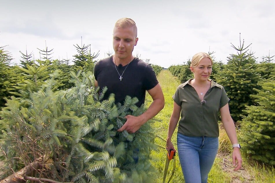 Das Hauptaugenmerk der 35-Jährigen liegt auf die Zucht von Weihnachtsbäumen.