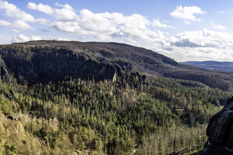 Am Großen Winterberg wurde der Käfer gefunden.