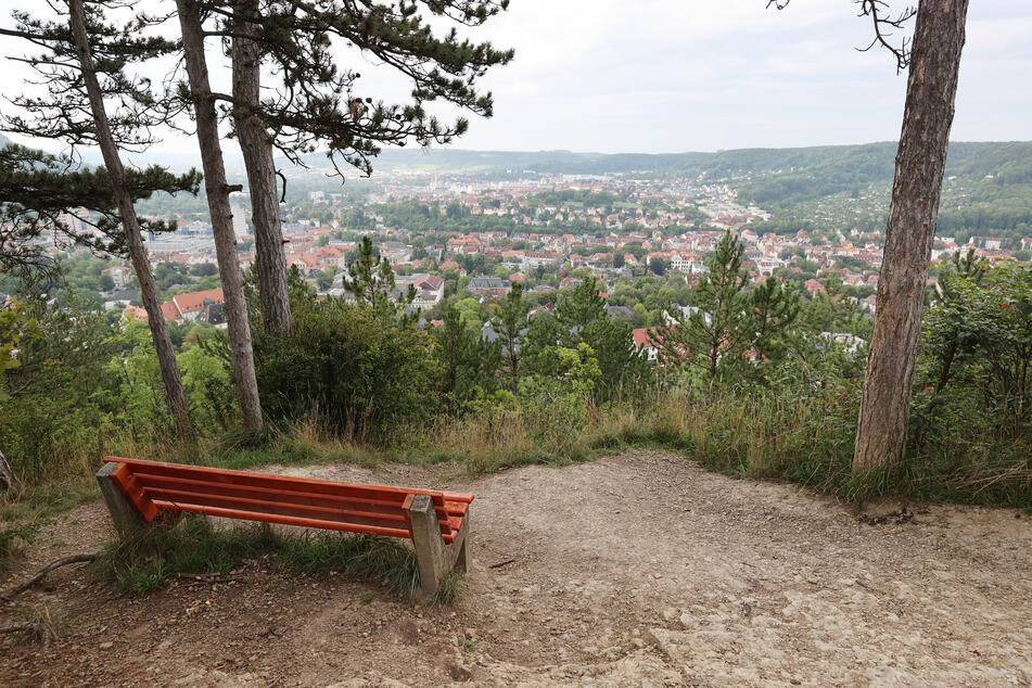 Auf den Ruhebänken können Wanderer ungestört auf die Stadt Jena blicken.