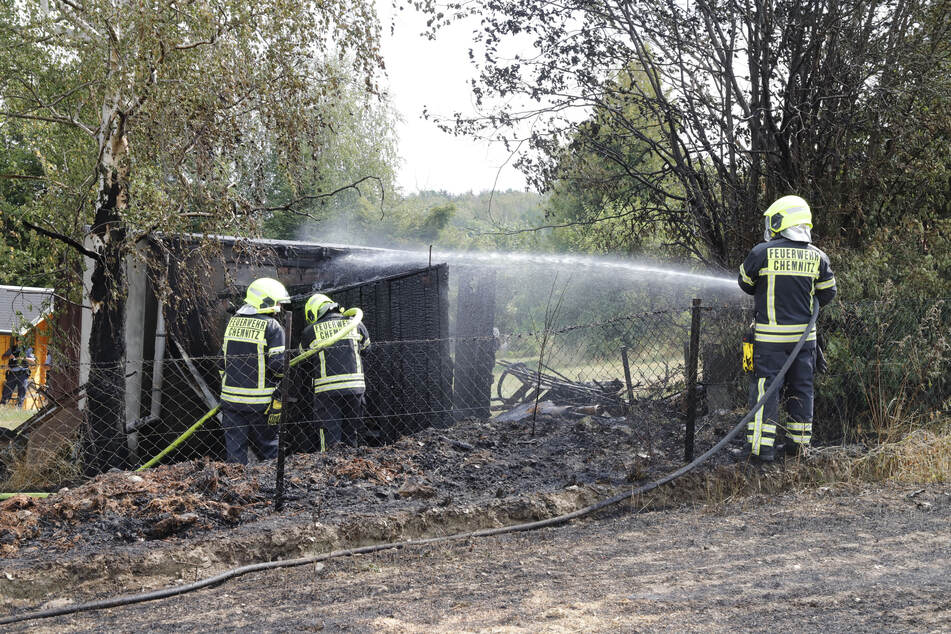 Chemnitz: Feldbrand greift auf Laube über: Feuerwehreinsatz in Chemnitz