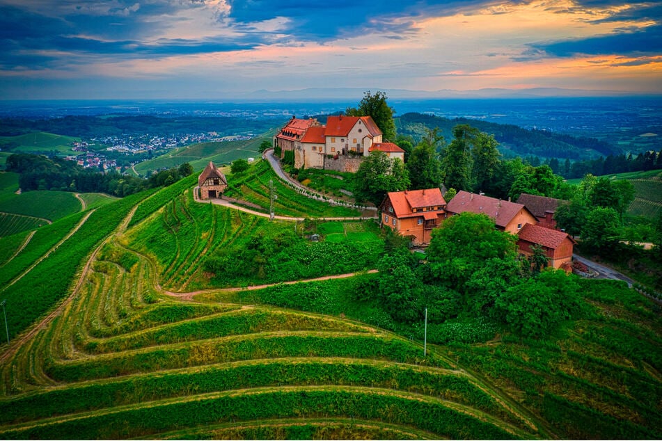 Hoch auf dem Weinberg thront Schloss Staufenberg überm Durbachtal.