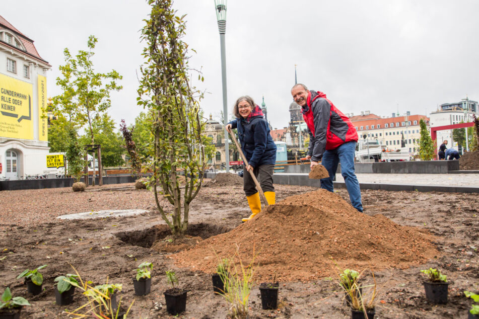 Umweltbürgermeisterin Eva Jähnigen (54, Grüne) und Stadtgrün-Chef Detlef Thiel (58) bepflanzen die neuen Postplatz-Beete.