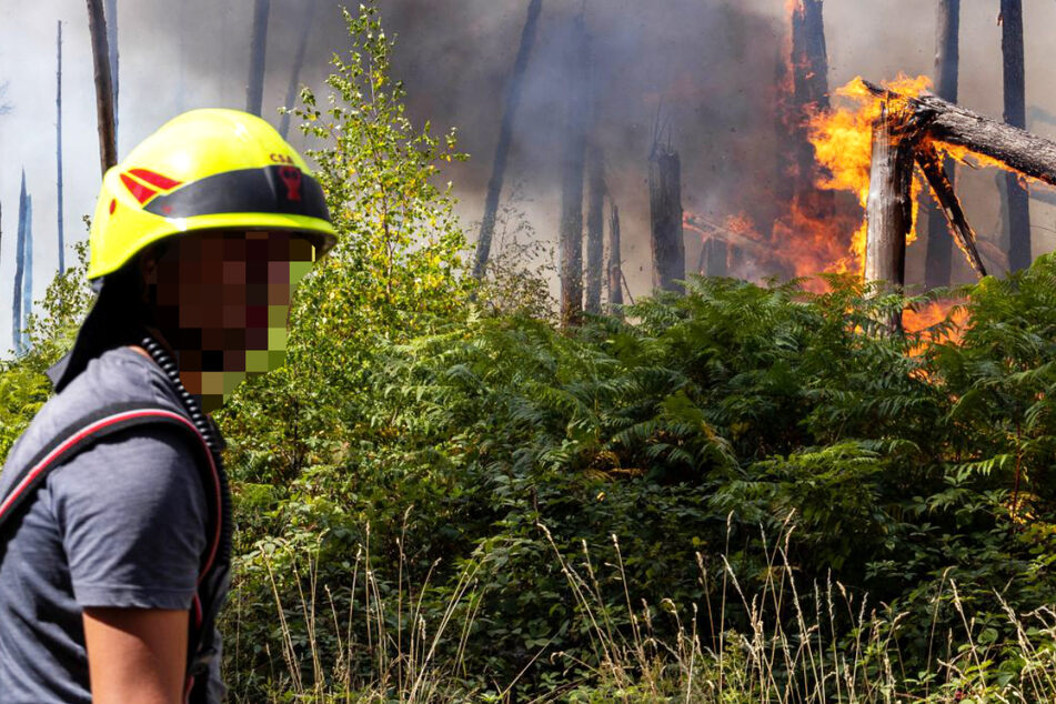 Groß-Waldbrand mit Explosionen in Hessen: War es Brandstiftung?