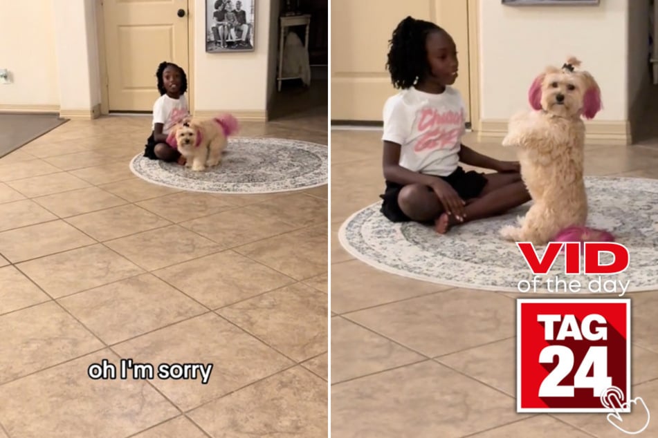 Today's Viral Video of the Day features a dog who reacted hilariously after playtime was interrupted!