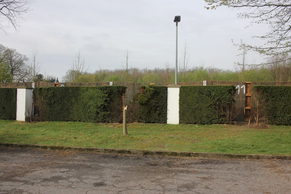 Beschädigte Hecken: Von hier ging die Explosion der Splitterbombe aus.