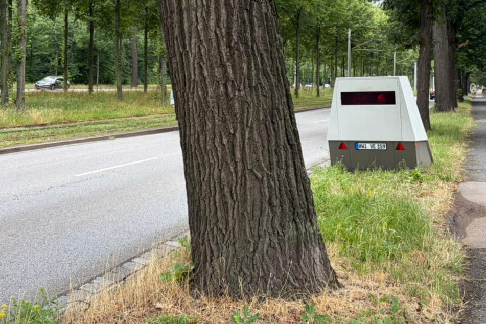 Gut versteckt hinter Baum: Dresdner Superblitzer an altbekanntem Standort entdeckt