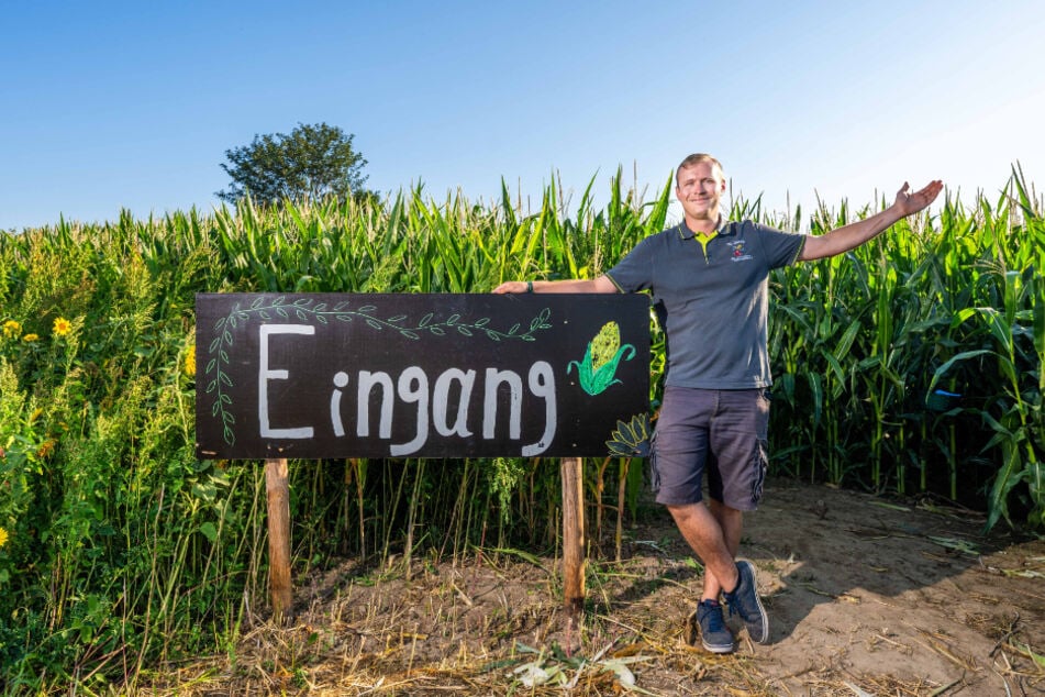 Stefan Wunderlich (28) vom Wirtschaftshof Sachsenland steht am Eingang zum Maislabyrinth in Wittgensdorf.