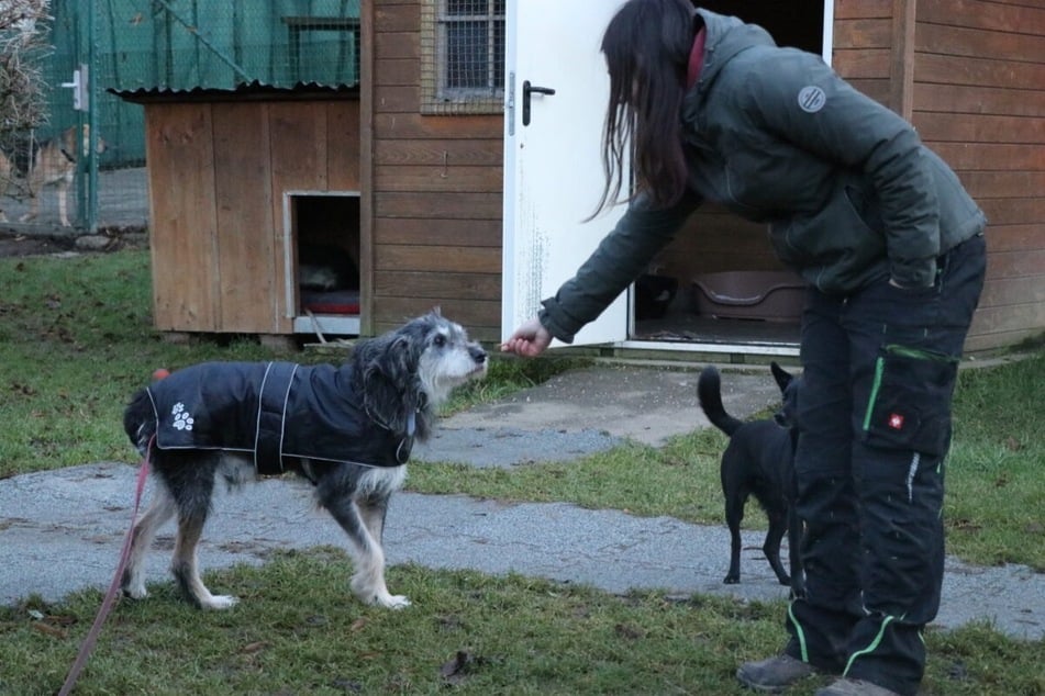 Berührungen sind Mumin oft noch nicht geheuer - doch er sucht immer wieder den Kontakt zu Menschen.