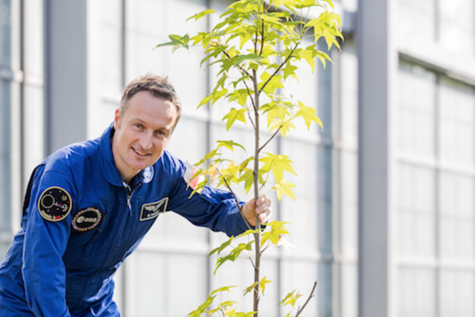 Maurer pflanzte in Erinnerung an die russische Tradition der Kosmonauten einen Baum.