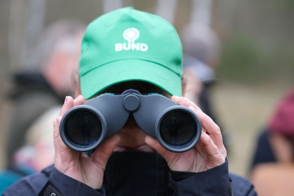 Noch bis Sonntag können sich Vogel-Liebhaber im Garten, im Park oder auf dem Balkon auf die Lauer legen. (Symbolbild)
