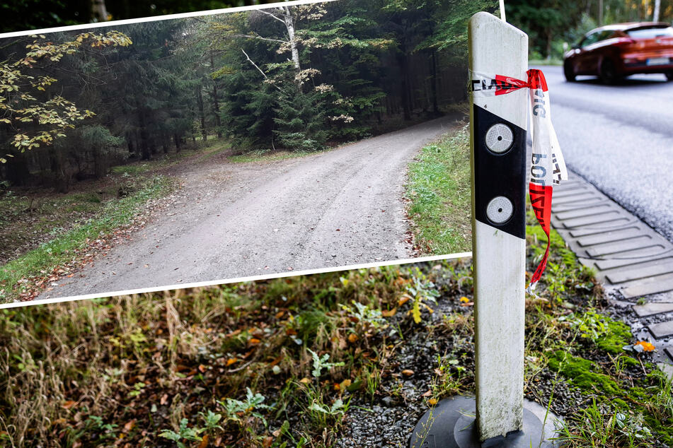 Können Schatzsucher das Geheimnis um das tote Baby im Karswald klären?