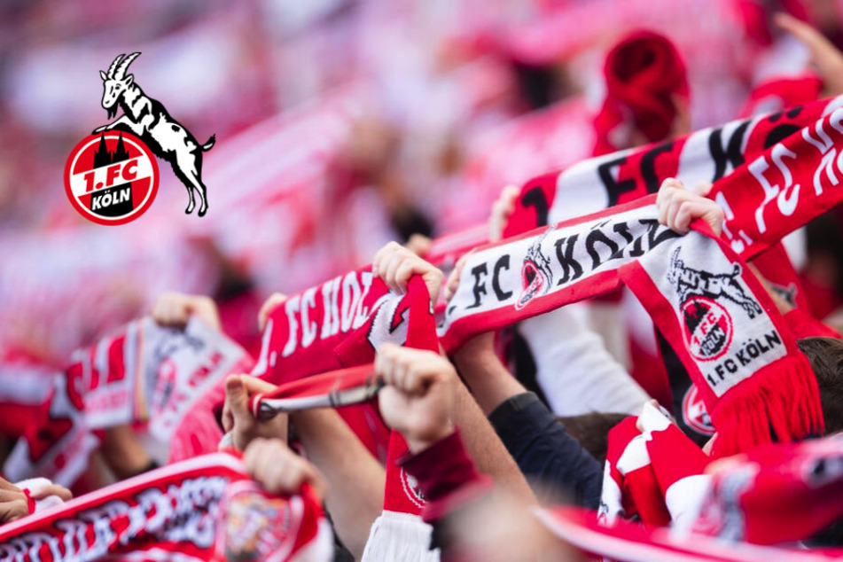 Der 1. FC Köln feiert 75. Geburtstag mit karnevalistischen Highlights