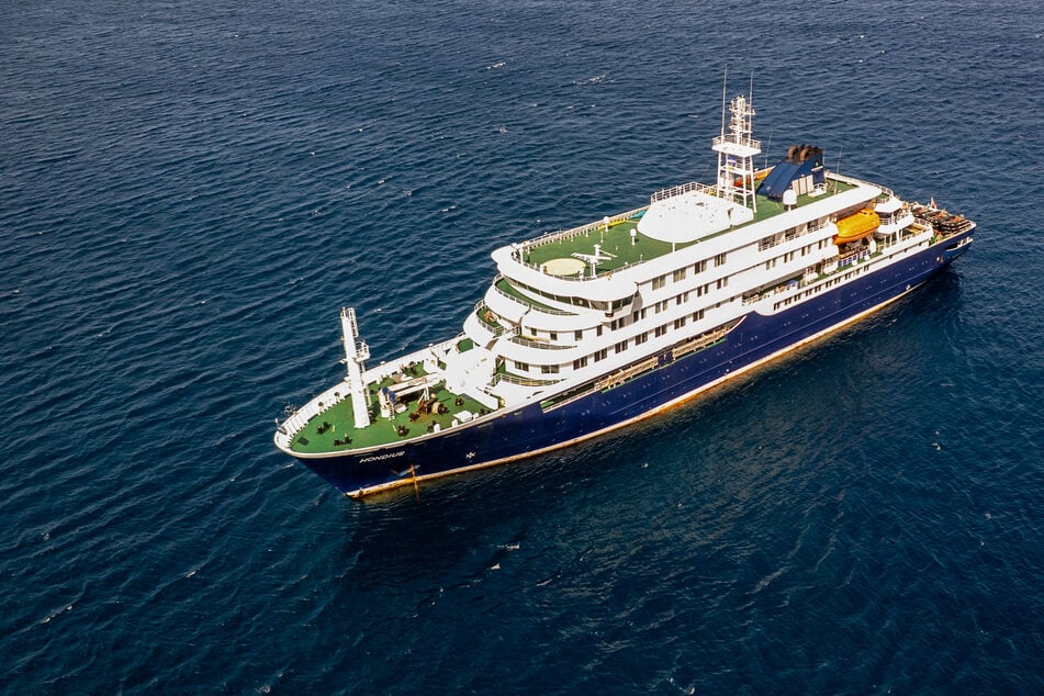 Auch Deutscher gestorben: Hantavirus auf Kreuzfahrtschiff vermutlich von Mensch zu Mensch übertragen!