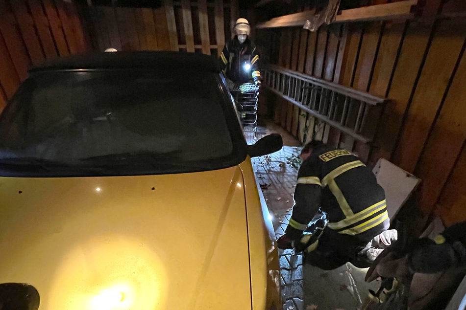 Die Feuerwehrleute lockten das Stachelschwein aus seinem Versteck unter dem Auto.