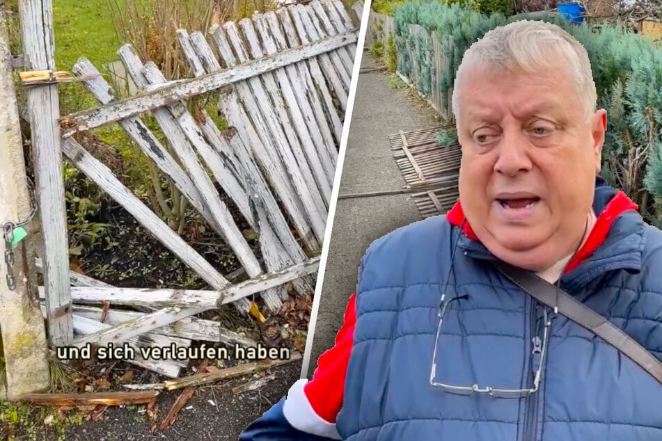 Spur der Verwüstung: Sächsischer Kleingarten-Sheriff außer sich - "Solche Drecksauen!"