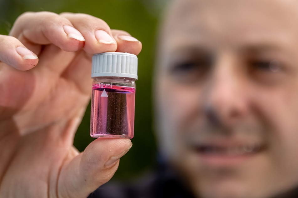 Passt! Chlor- und PH-Werte sind im grünen - beziehungsweise rosa - Bereich.