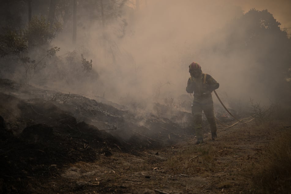 Zahlreiche Feuerwehreinheiten waren nötig, um die Waldbrände in Portugal bekämpfen zu können.