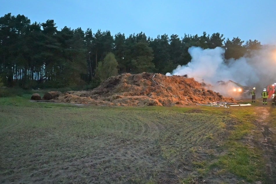 Misthaufen geht in Flammen auf: Polizei hat eine Theorie
