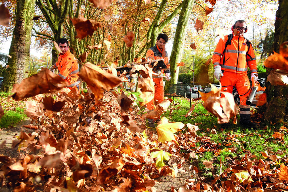 600 Beschäftigte kümmern sich im Herbst um die Beseitigung von Laub.