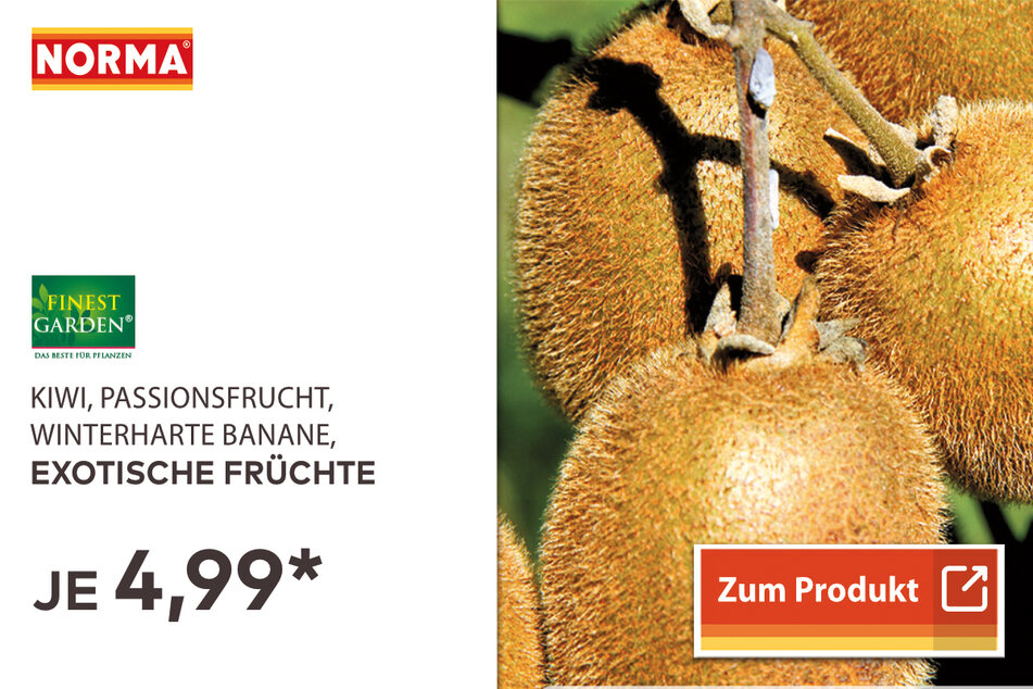 Exotische Früchte für nur 4,99 Euro.
