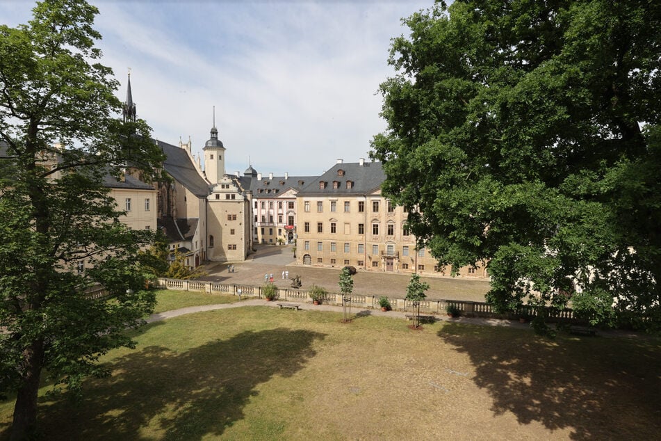 Altenburg hatte sich eigentlich für die Landesgartenschau 2028 beworben. (Symbolbild)