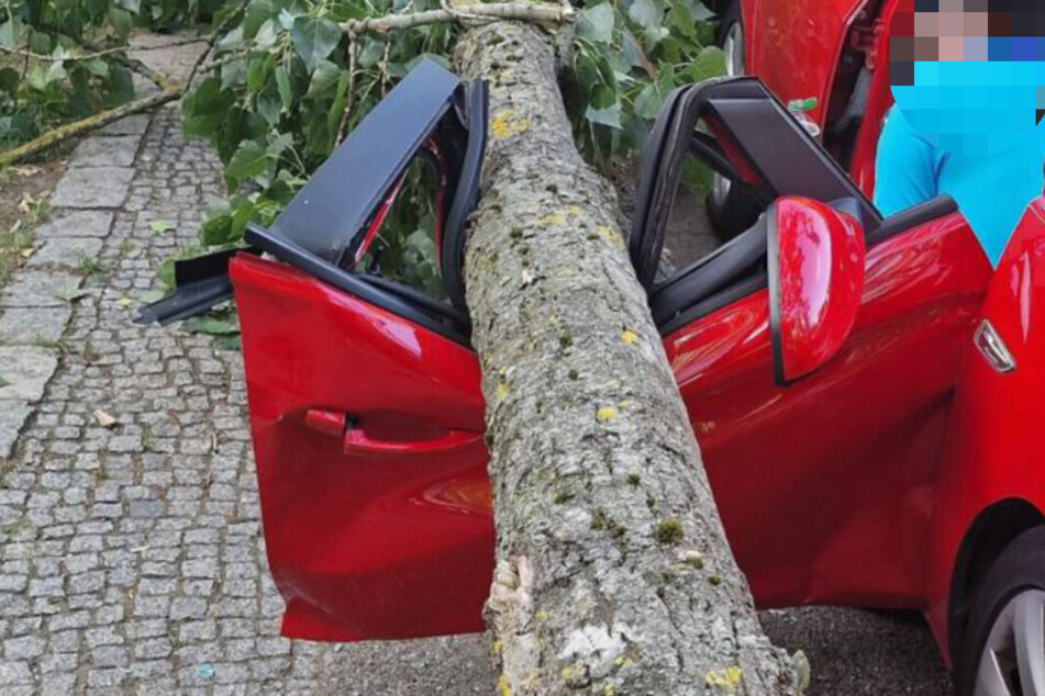 Abgebrochener Ast trifft geparkten Opel und klemmt Mann ein