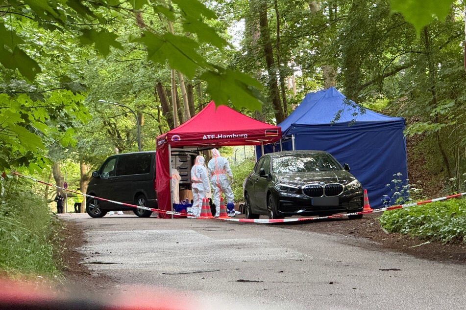 In Hamburg wurde am Donnerstagnachmittag in einem Waldstück eine Leiche entdeckt.