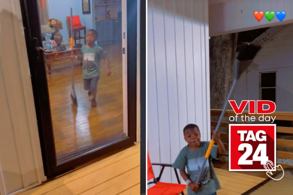 viral videos: Viral Video of the Day for April 7, 2024: Son comes to mom's rescue after huge spider shows up uninvited!