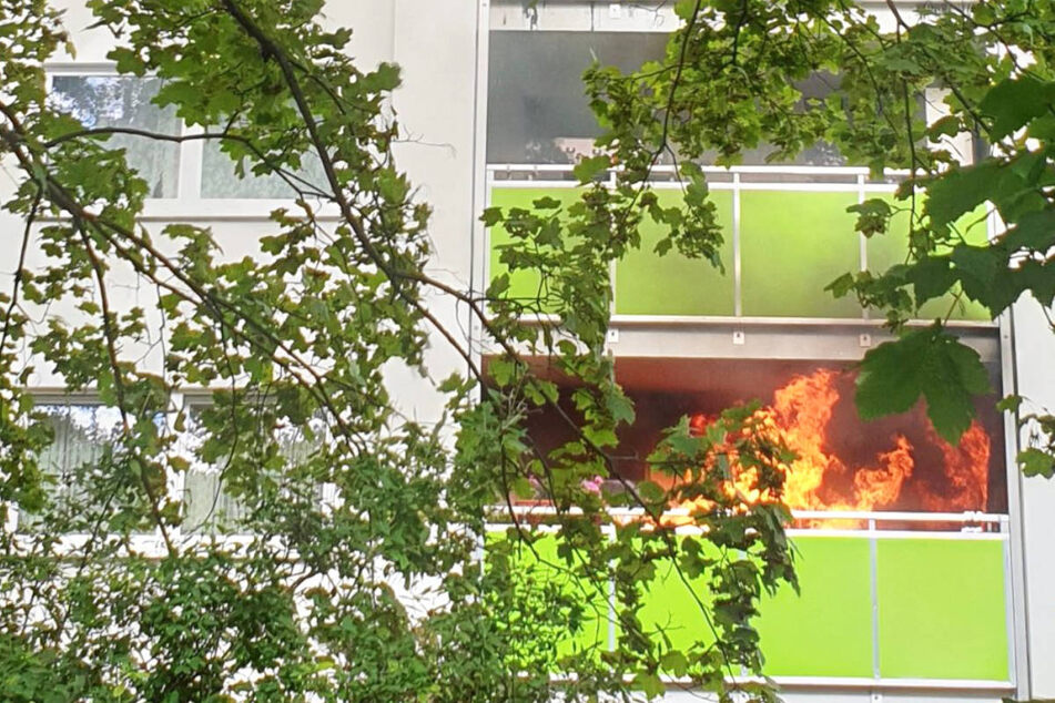 Berlin: Möbel fangen Feuer: Zwei Verletzte bei Brand in Neuköllner Hochhaus