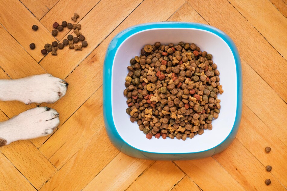 Ballaststoffe im Futter sind wichtig für die Darmflora des Hundes.