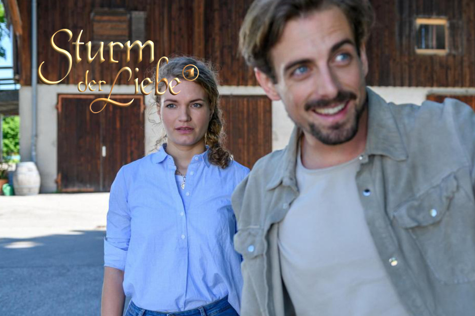 Sturm der Liebe: Sturm der Liebe: Wird Hannes wieder nur ausgenutzt?
