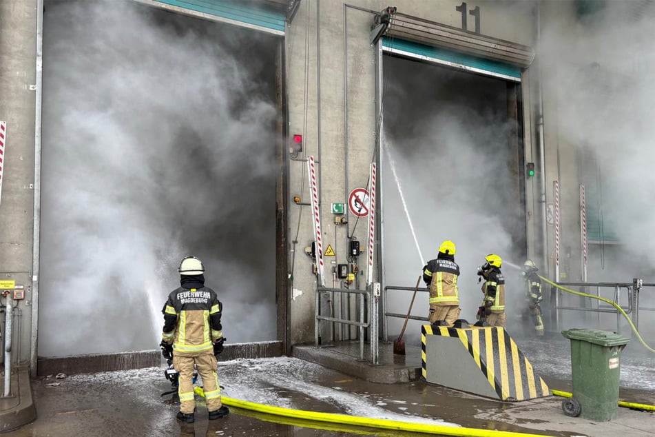Durch den trockenen Abfall breitete sich das Feuer schnell aus.