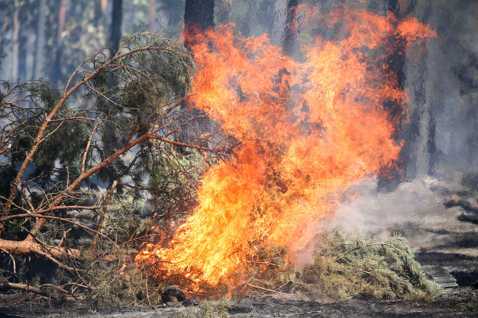 Waldbrand im Kreis Göttingen: War es Brandstiftung?