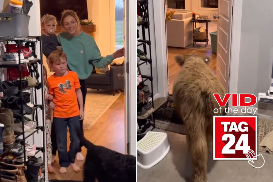 viral videos: Viral Video of the Day for April 5, 2024: Man comes up with legen-dairy birthday present for wife!