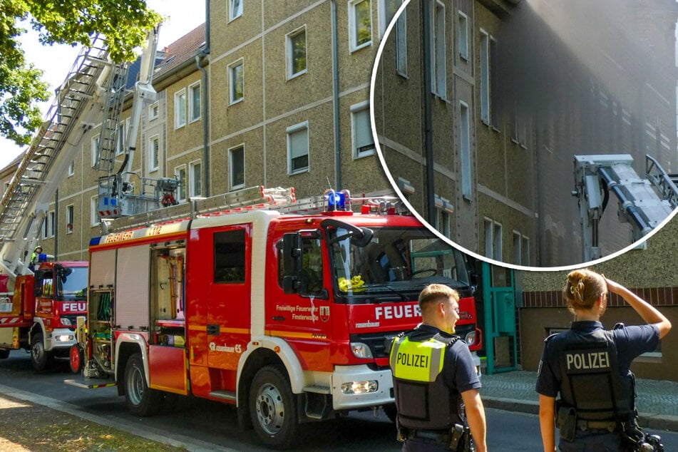Feuer in Mehrfamilienhaus: Hund stirbt bei Küchenbrand