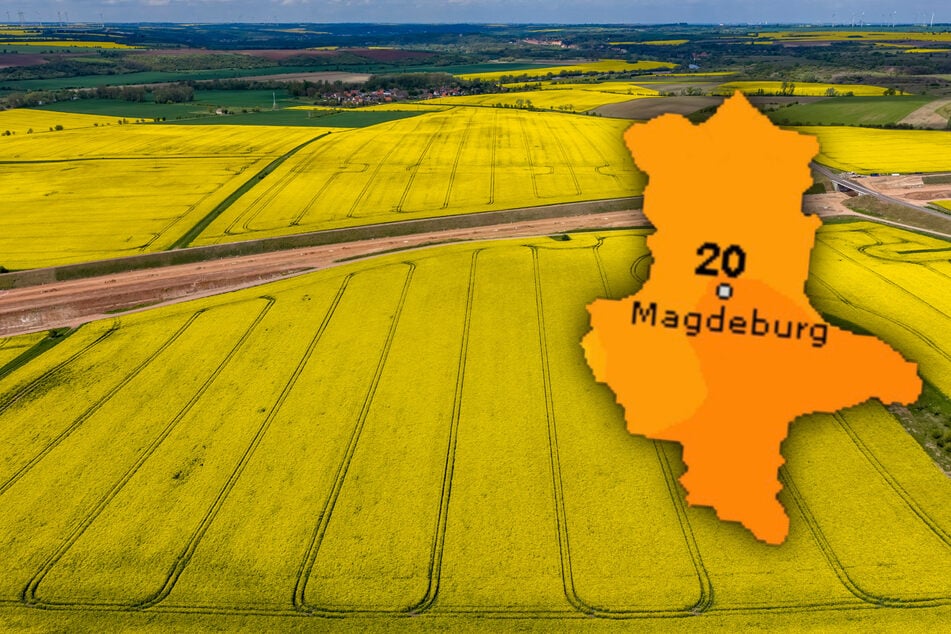 In Sachsen-Anhalt wird es in den kommenden Tagen vorerst nicht regnen. (Symbolbild)