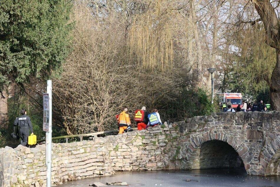 Erst am vergangenen Mittwoch ereignete sich im Aschaffenburger Schöntal-Park eine grausame Messerattacke mit zwei Toten.