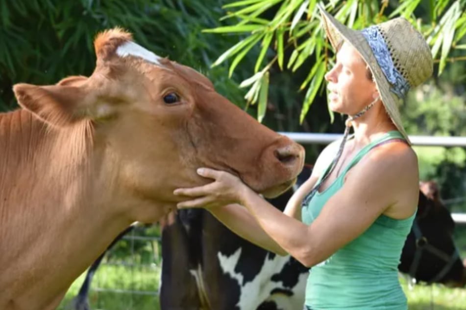 Auf GoFundMe sammelt Suzie Dudas (47) Spenden für den Erhalt ihrer Farm.