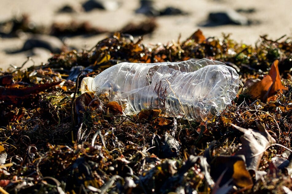 A plastic water bottle breaks down on a sandy beach in Maine.